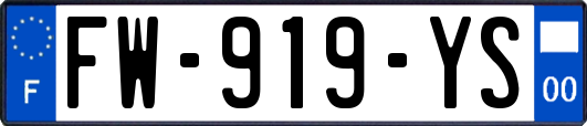 FW-919-YS