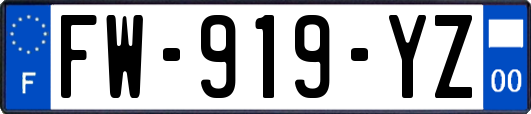 FW-919-YZ