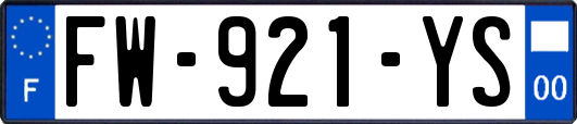 FW-921-YS