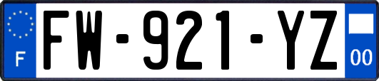 FW-921-YZ