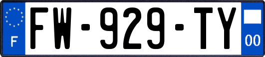 FW-929-TY