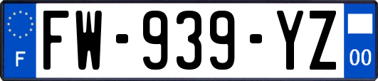 FW-939-YZ