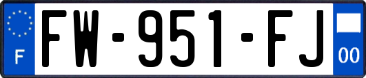 FW-951-FJ