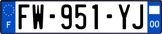 FW-951-YJ