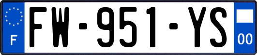 FW-951-YS
