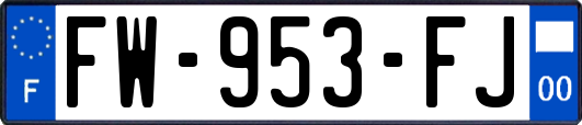 FW-953-FJ