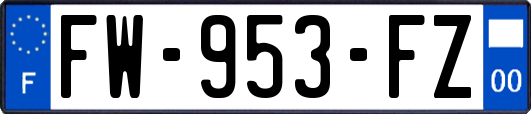 FW-953-FZ