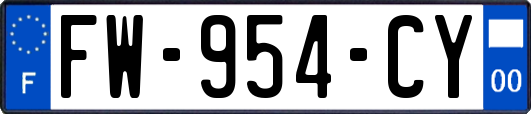 FW-954-CY