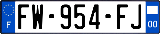 FW-954-FJ