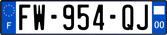 FW-954-QJ