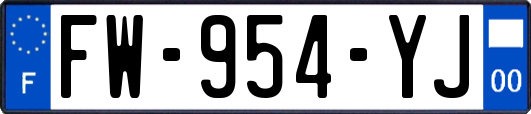 FW-954-YJ