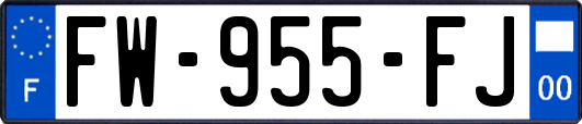 FW-955-FJ