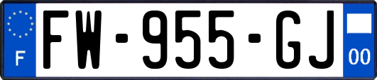 FW-955-GJ