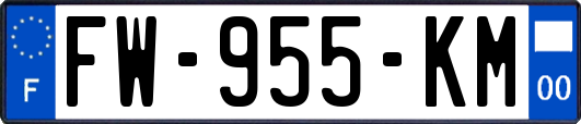 FW-955-KM