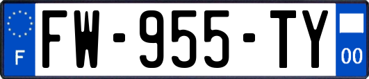 FW-955-TY