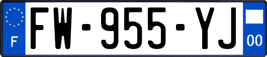 FW-955-YJ