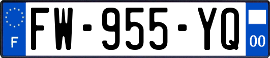 FW-955-YQ