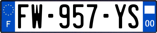 FW-957-YS
