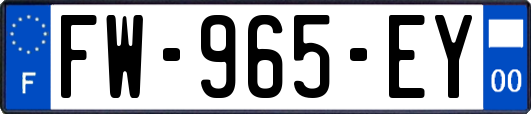 FW-965-EY