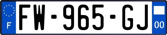 FW-965-GJ