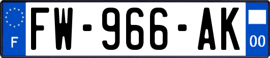 FW-966-AK