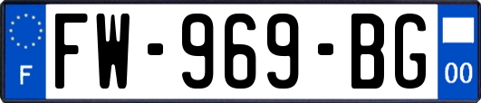 FW-969-BG