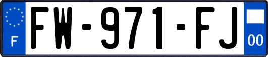 FW-971-FJ
