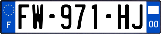 FW-971-HJ