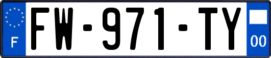FW-971-TY