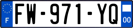 FW-971-YQ