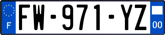 FW-971-YZ