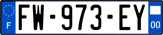FW-973-EY