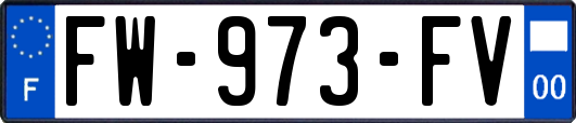 FW-973-FV