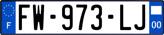 FW-973-LJ