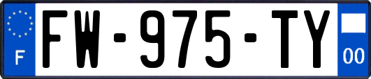 FW-975-TY