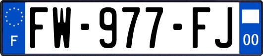 FW-977-FJ