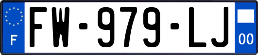 FW-979-LJ