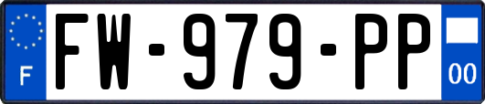 FW-979-PP