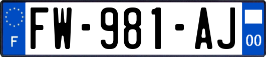 FW-981-AJ