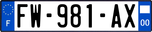 FW-981-AX