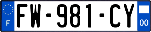 FW-981-CY