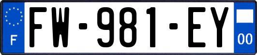 FW-981-EY