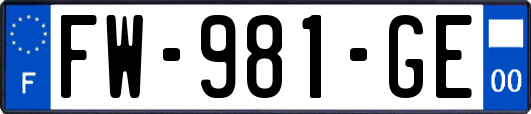 FW-981-GE