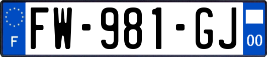 FW-981-GJ