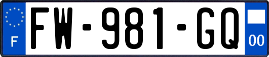 FW-981-GQ