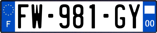 FW-981-GY