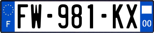 FW-981-KX