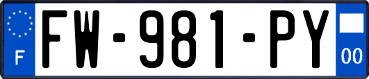 FW-981-PY