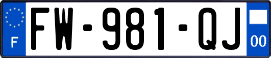 FW-981-QJ