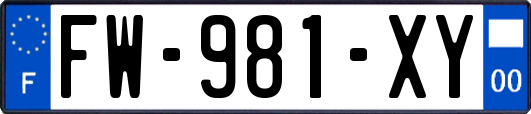 FW-981-XY